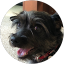 Brian Normandin profile picture