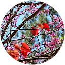 Mai Pham-Duong profile picture